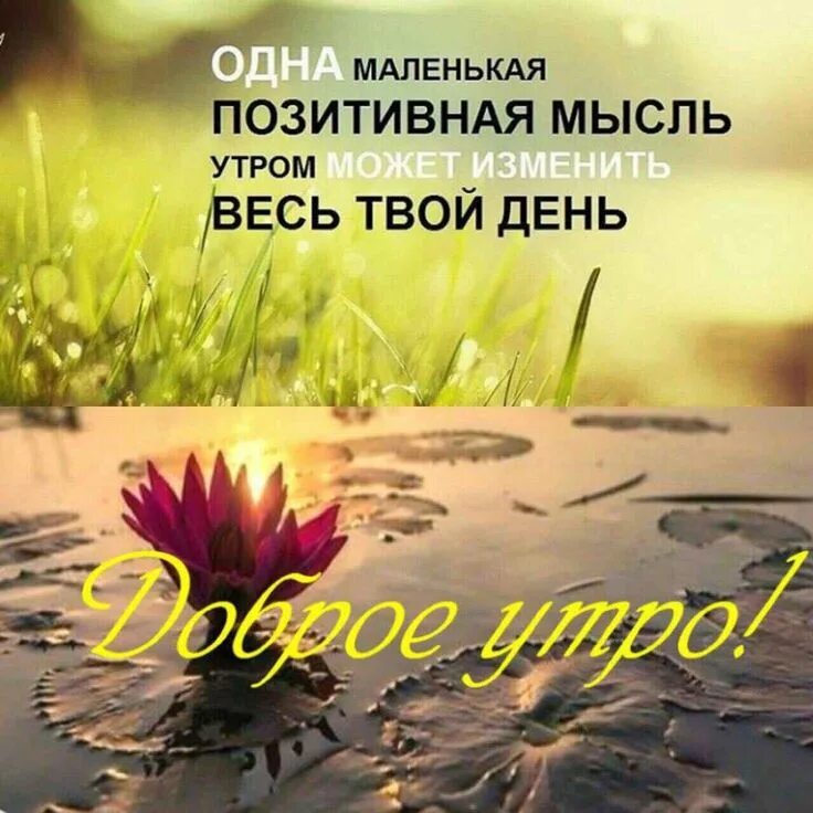Картинки со смыслом с добрыми пожеланиями Пин на доске русские открытки Доброе утро, Цитаты, Умные цитаты