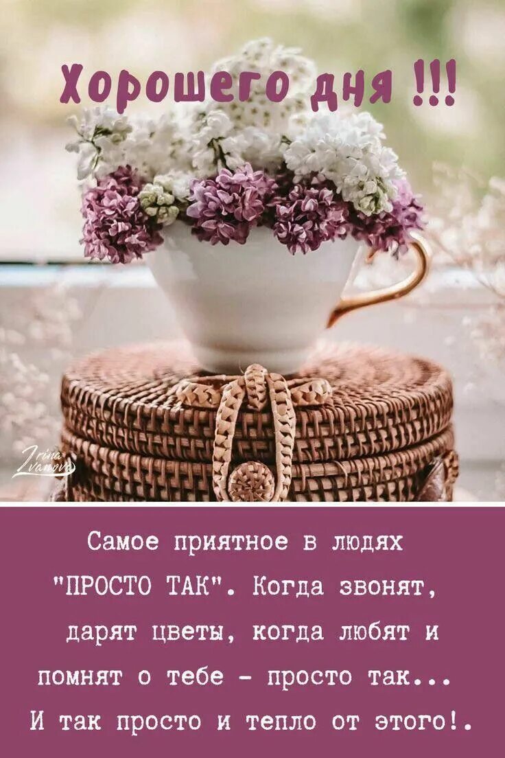 Картинки со смыслом с добрыми пожеланиями Pin on Пожелания с добрым утром Purple home, Good morning, Wallpaper quotes