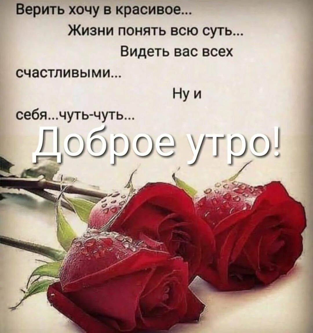 Картинки со смыслом с добрыми пожеланиями Пин от пользователя Дыренкова Елена на доске доброе утро Доброе утро, Картинки д