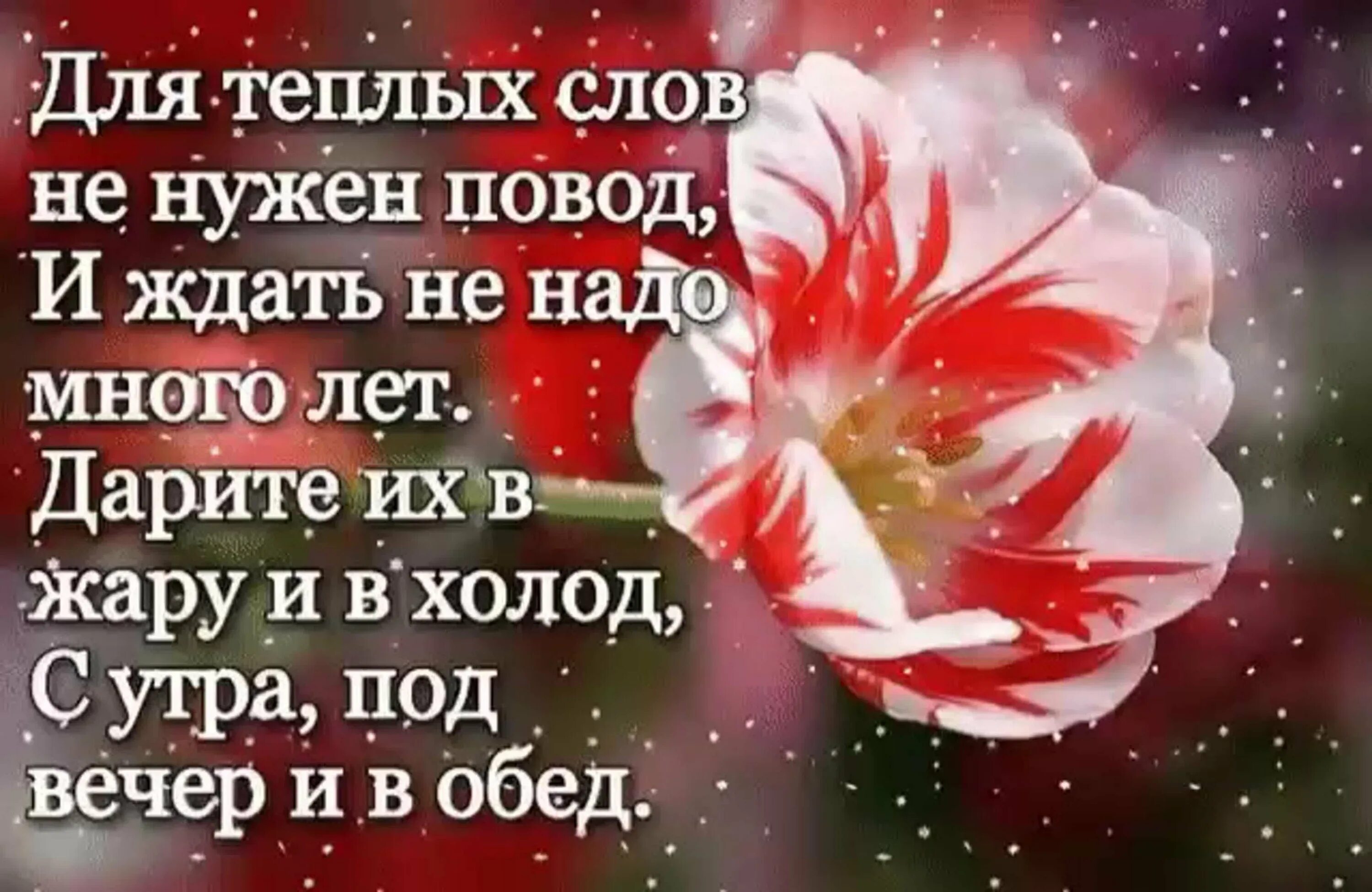 Картинки со смыслом с добрыми пожеланиями Хорошие слова сказать хорошему человеку