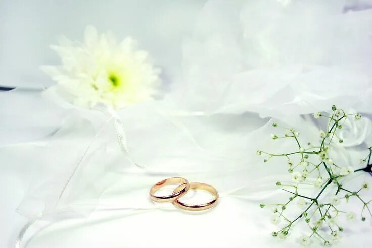 Картинки со свадьбой 14 лет wedding ideas Titanium wedding, Plan your wedding, Titanium wedding rings