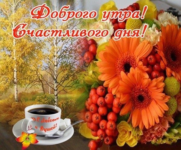 Картинки солнечного осеннего утра и хорошего дня Пин от пользователя Larissapossuh на доске Добрий ранок Доброе утро, Открытки, О