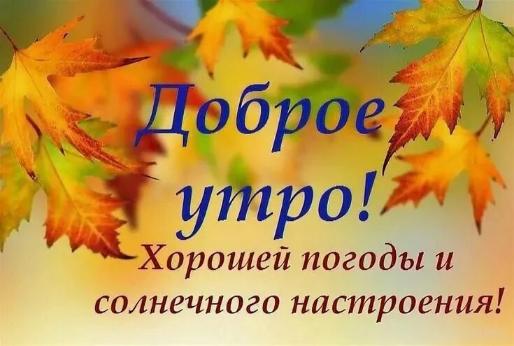 Картинки солнечного осеннего утра и хорошего дня Пин от пользователя Lina на доске Доброе утро, вечер и день Доброе утро, Осень, 
