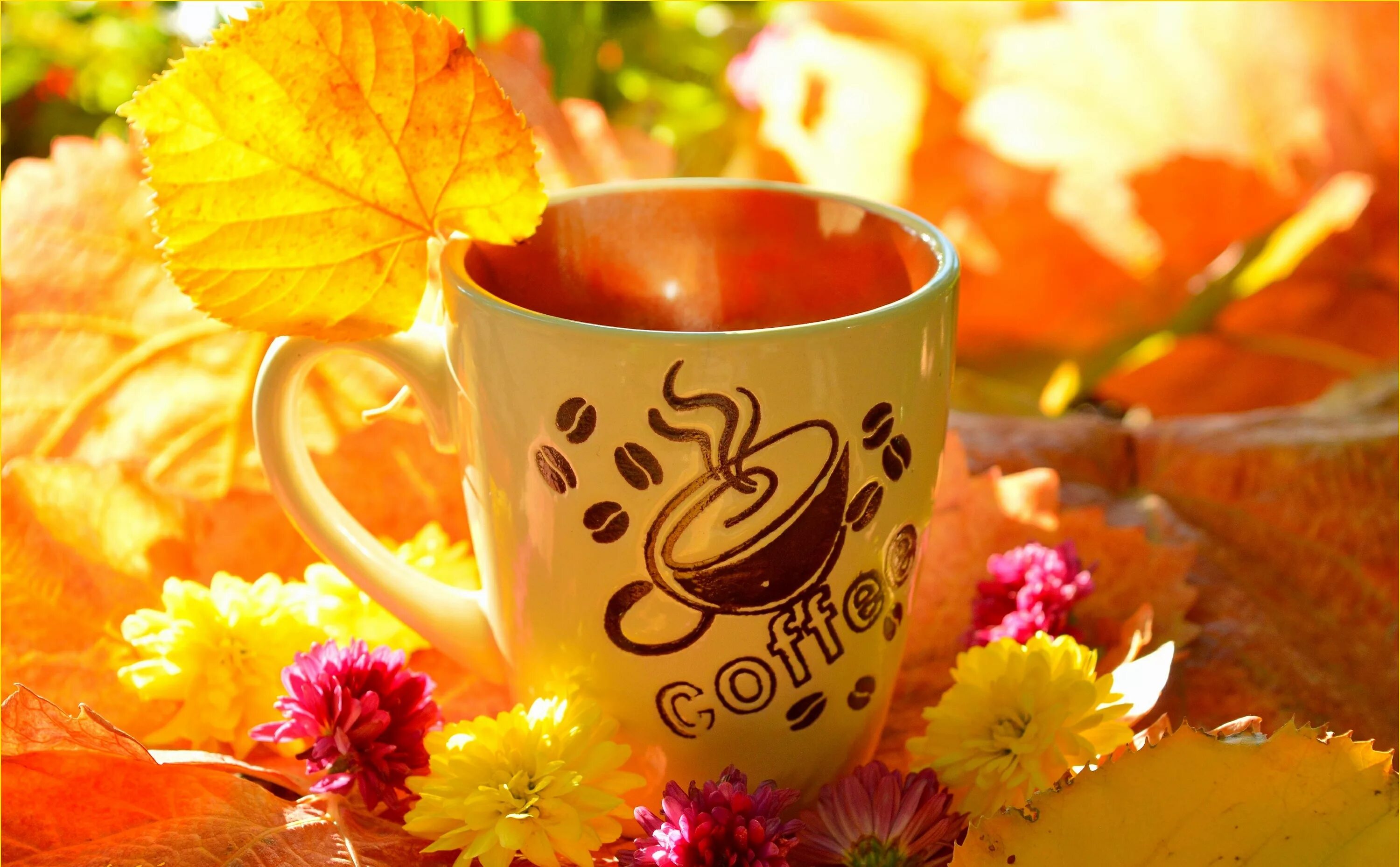 Картинки солнечного осеннего утра и хорошего дня Download wallpaper Flowers, Autumn, Leaves, mug, Fall, Flowers, Autumn, Leaves, 