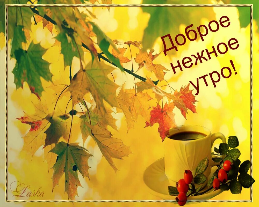 Картинки солнечного осеннего утра и хорошего дня Пусть вечно горит огонь доброты, тепла и света!