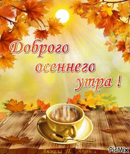 Картинки солнечного осеннего утра и хорошего дня Доброе утро Доброе утро, Пейзажи, Осенние картинки