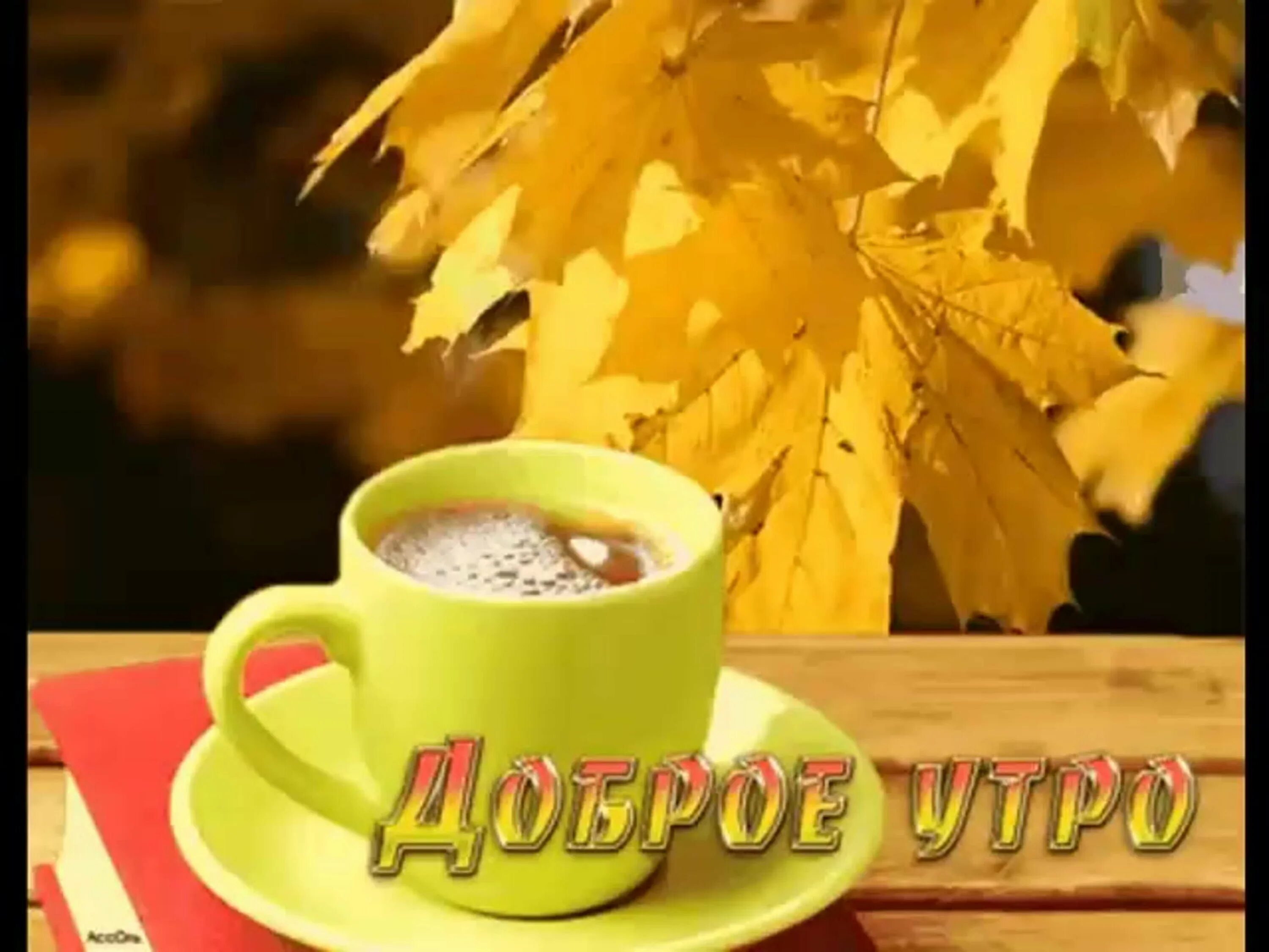 Картинки солнечного осеннего утра и хорошего дня С осенним понедельником - 72 фото
