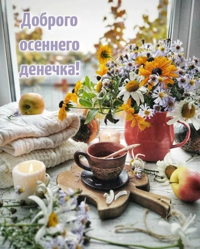 Картинки солнечного осеннего утра и хорошего дня ДОБРОГО ВАМ ДЕНЁЧКА ! 2023 От души, для друзей! ВКонтакте