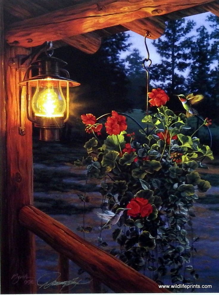 Картинки спокойного доброго вечера летние Artist Darrell Bush Unframed Bird and Flower Print Sweet Attraction Beautiful ar