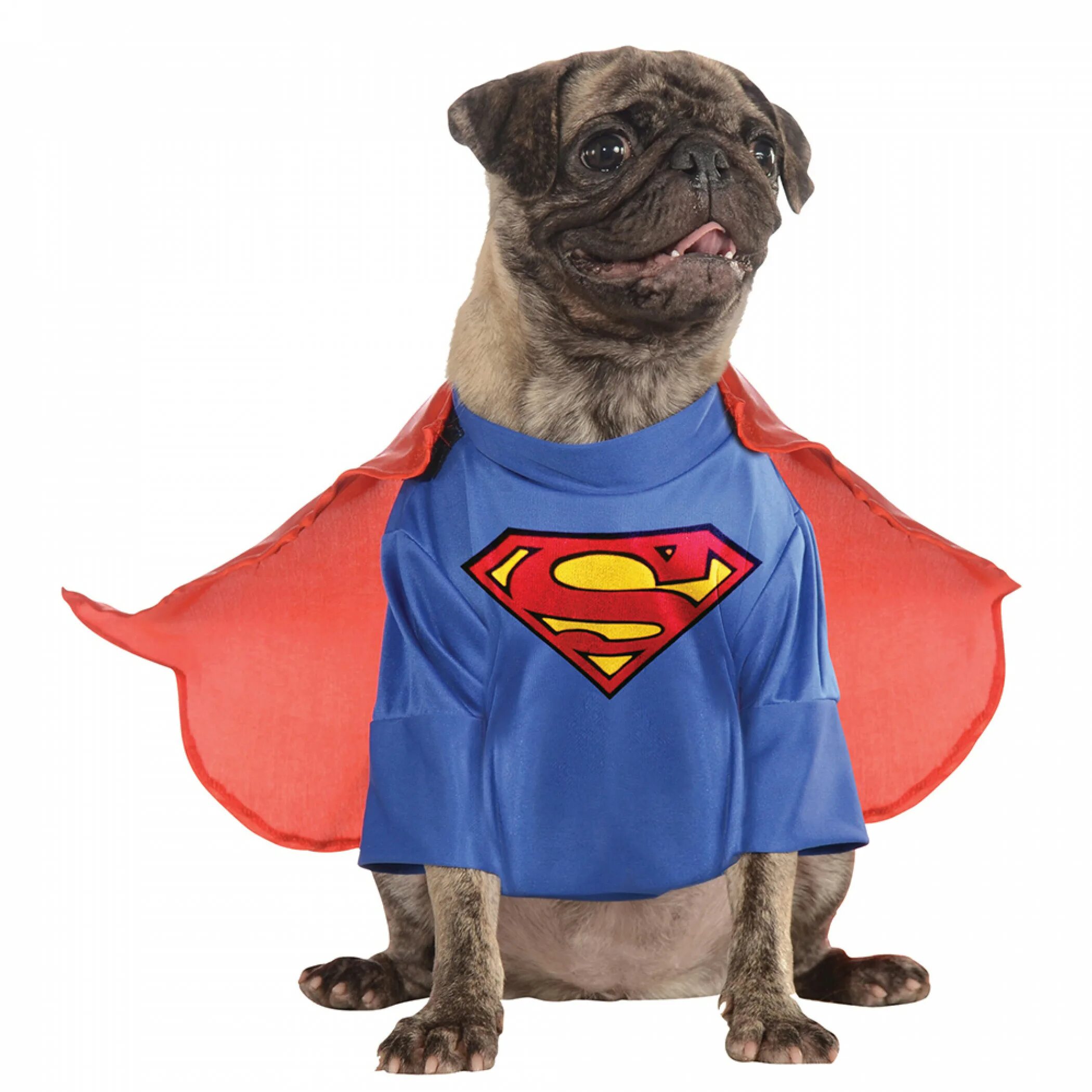 Картинки супер животные DC Comics Superman Pet Costume With Arms