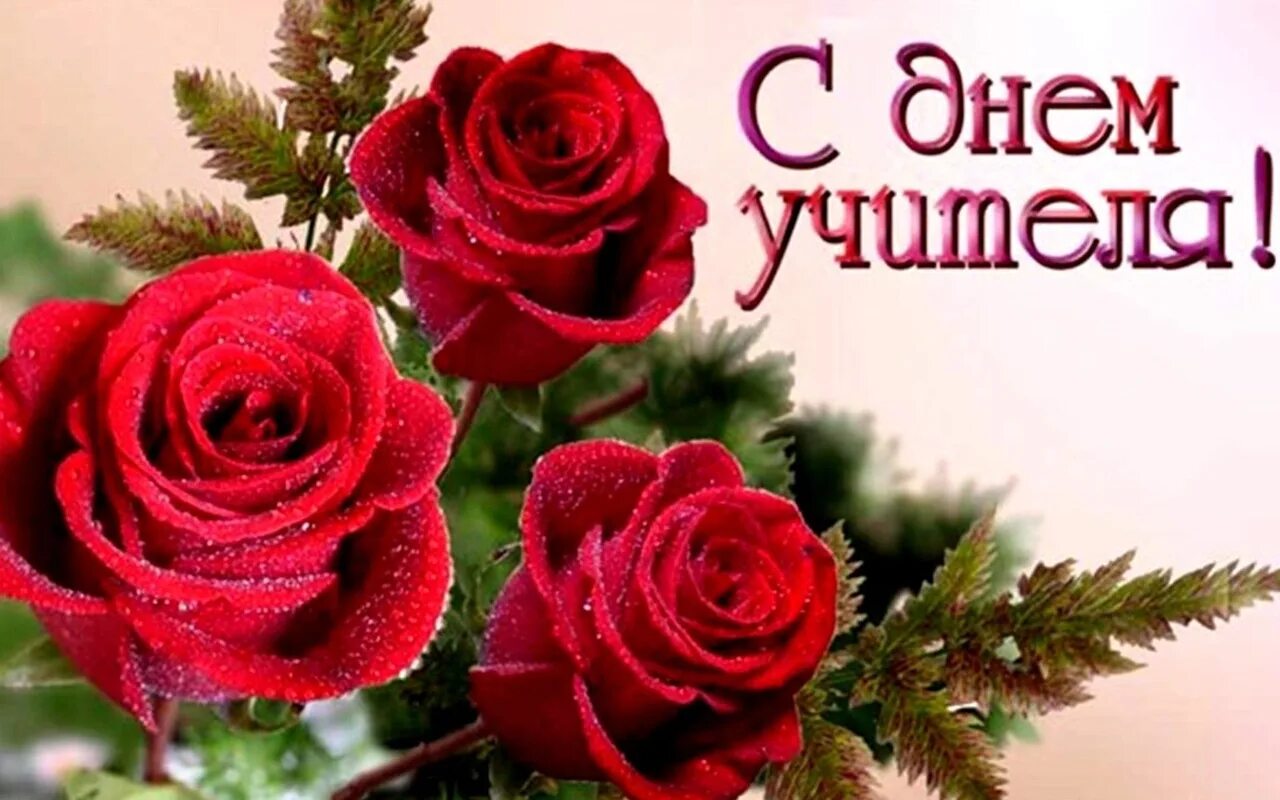 Картинки сыну с днем учителя 5 октября - День Учителя
