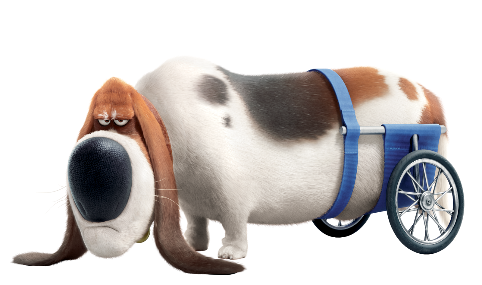 Картинки тайная жизнь домашних животных Discuss Everything About The Secret Life of Pets Wiki Fandom