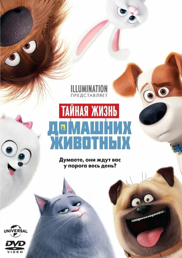 Картинки тайная жизнь домашних животных Последствия (2017) DVD-video (DVD-box) - купить в интернет-магазине по низкой це