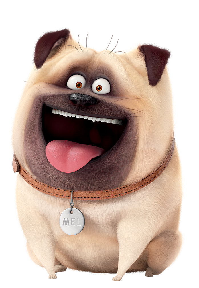 Картинки тайная жизнь домашних животных Mel The Secret Life of Pets Wiki Fandom