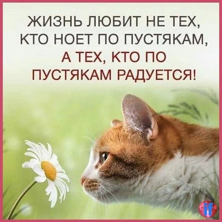 Картинки цитаты позитивные со смыслом Запомни! Картинки с текстом #демотиваторы #постеры nfrifkqssdxn webrbzeauhdo aqd