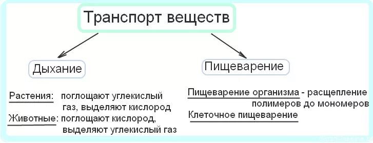 Картинки транспорт веществ у животных Транспорт веществ Дистанционные уроки