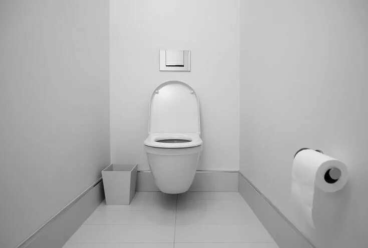 Картинки туалет фото Astuces pour éliminer les mauvaises odeurs dans les toilettes Pratique.fr Toilet