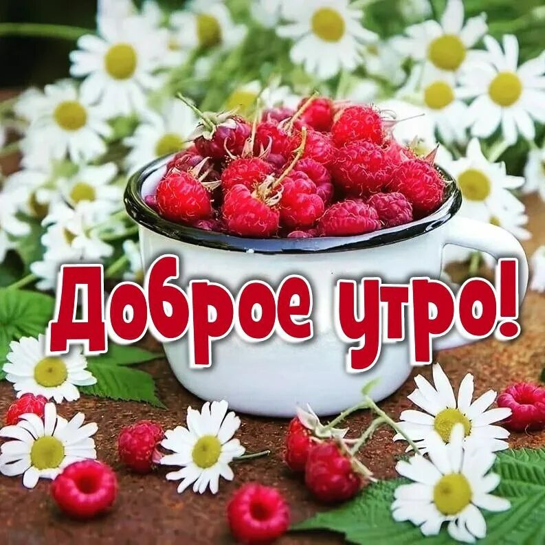 Картинки утро августа прикольные Самого доброго утра августа: найдено 86 изображений