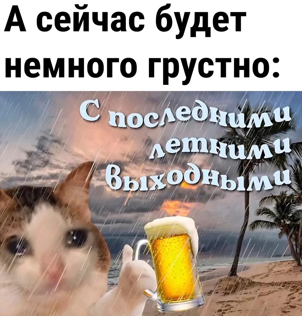 Картинки утро августа прикольные Ответы Mail.ru: Осталось немного!...Последний летний день...И осень уж срывает л