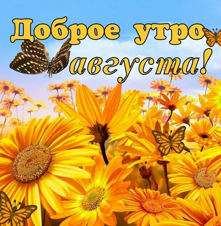Картинки утро августа прикольные Pin by Наталья on доброе утро Good morning