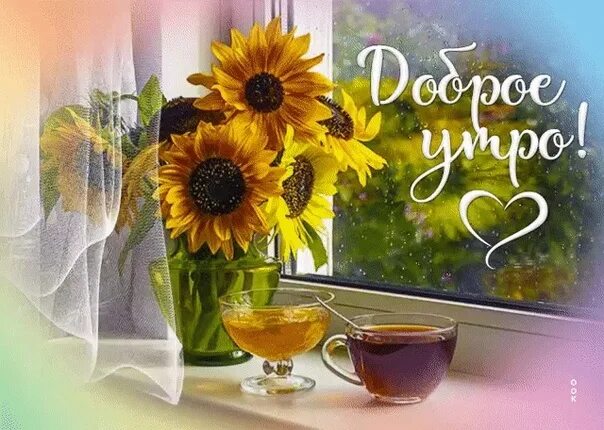 Картинки утро августа прикольные ДОБРОГО ВОСКРЕСНОГО УТРА ВСЕМ!!! И СЧАСТЛИВОГО ДНЯ!!! Tags "#goodmorning @cayogl
