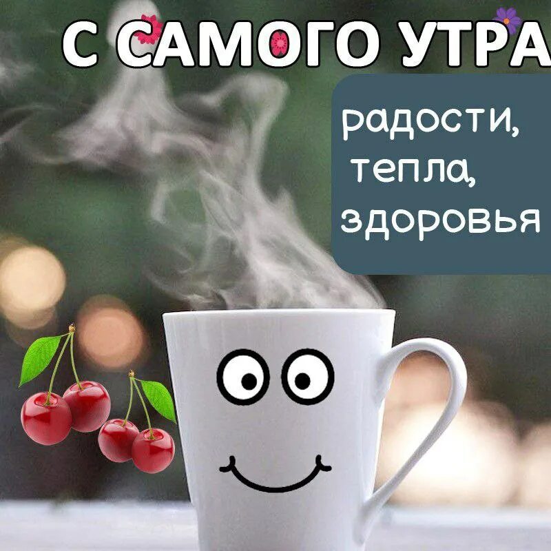 Картинки утро августа прикольные Post #8238 - С Добрым утром Хорошего дня. Открытки и пожелания доброго утра летн