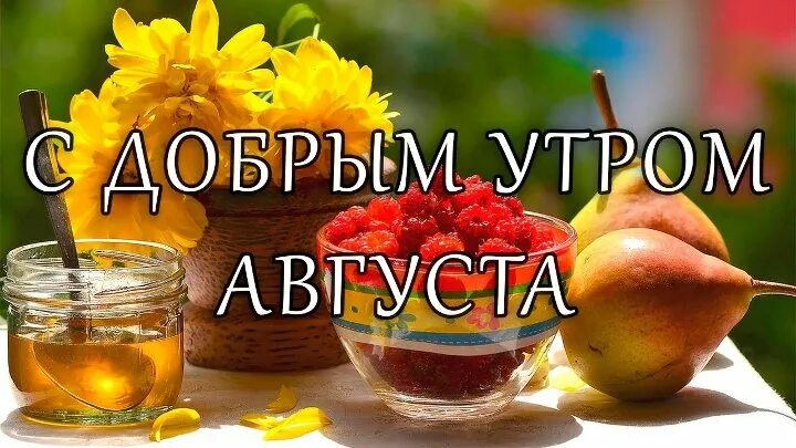 Картинки утро августа прикольные М О Я Д У Ш А Группа на OK.ru Вступай, читай, общайся в Одноклассниках!