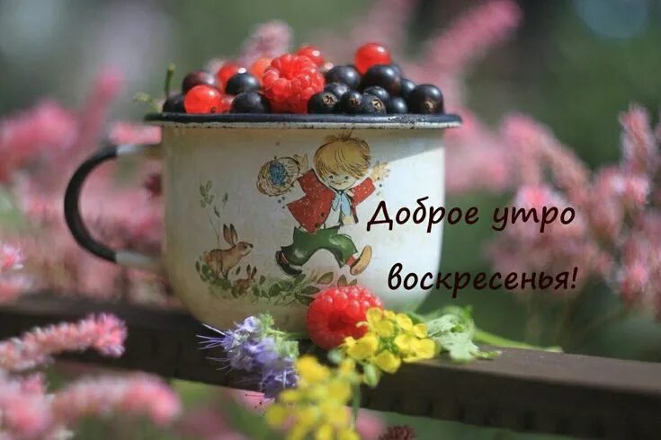 Картинки утро августа прикольные Pin on Доброе утро * Воскресенье Moscow mule mugs, Tableware, Glassware