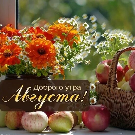 Картинки утро августа прикольные С добрым утром, дорогие друзья!!! - МИР, В КОТОРОМ МЫ ЖИВЁМ!, пользователь Лилия