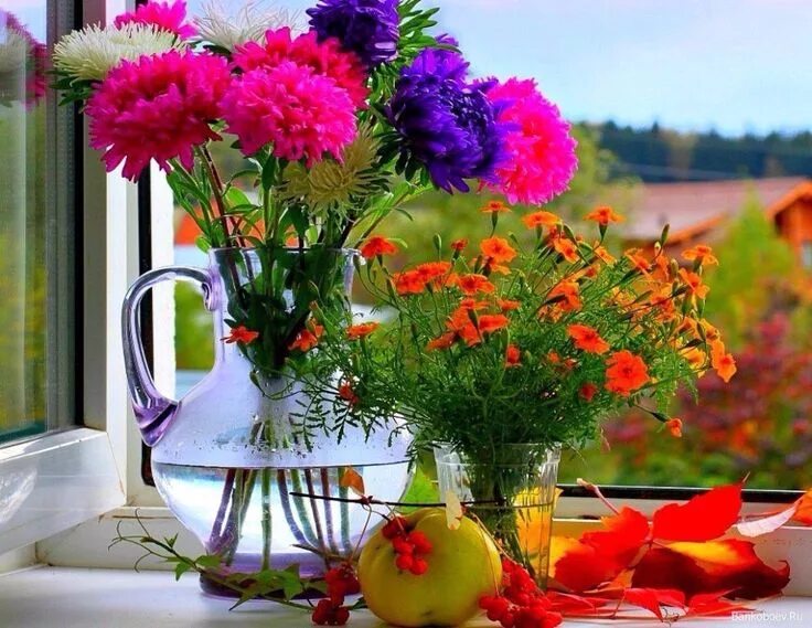 Картинки утро августа прикольные Вдохновение Дворик для души Good morning images flowers, Good morning flowers gi