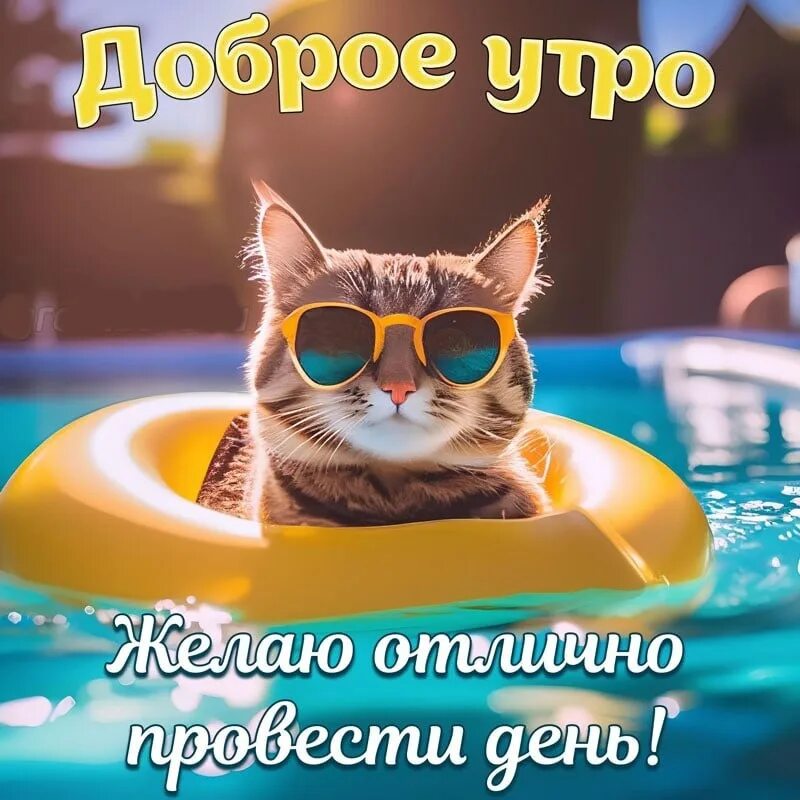 Картинки утро августа прикольные Good morning! 2023 Красивые открытки и поздравления с праздниками VK
