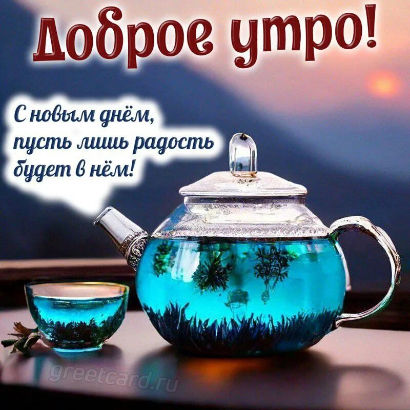 Картинки утро августа прикольные Post #8243 - С Добрым утром Хорошего дня. Открытки и пожелания доброго утра летн