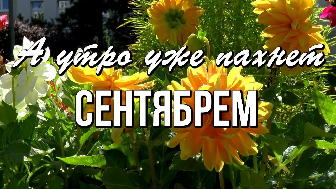 Картинки утро августа прикольные Доброе утро! Все дороги Августа ведут в Сентябрь... Время не подвластно остановк