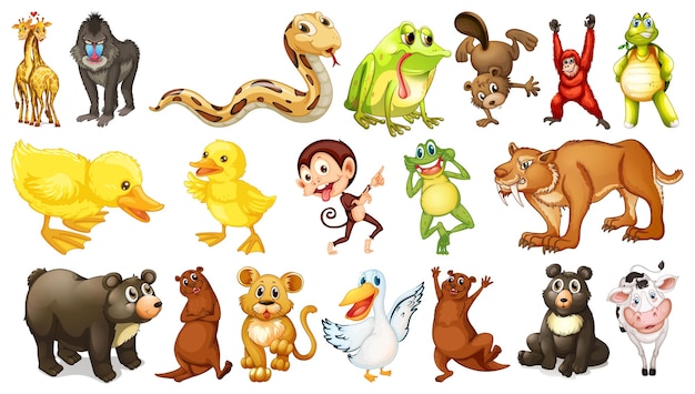 Картинки в виде животных Page 29 Frog cute Vectors & Illustrations for Free Download Freepik