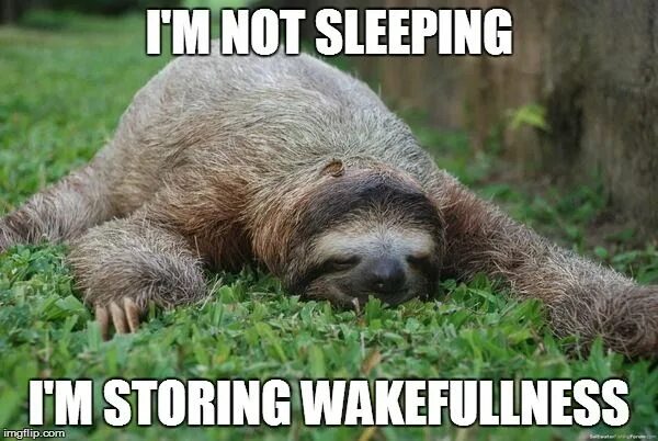 Картинки животного ленивца Sanderson Memes - Page 50 - General Brandon Discussion Sloth meme, Sloth, Funny