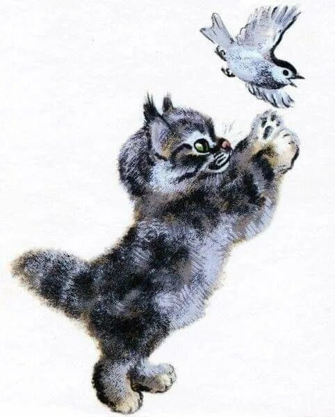 Картинки животные чарушина Pin on Cat Storybook Cat illustration, Animal art, Cats illustration