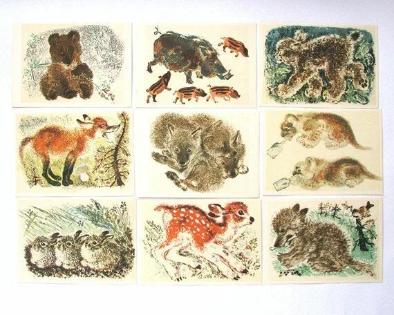 Картинки животные чарушина Illustrations by Charushin Set of 13 Soviet Unused Postcards Etsy Illustration, 