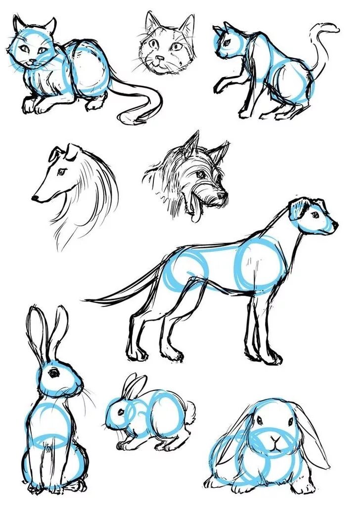 Картинки животные для детей срисовка 40 Free & Easy Animal Sketch Drawing Ideas & Inspiration - Bosquejos de animales