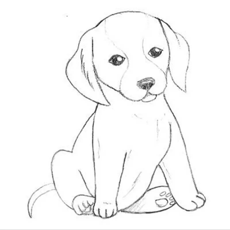 Картинки животные для детей срисовка Create meme "pencil drawings dogs for beginners, puppy pencil drawing" - Picture