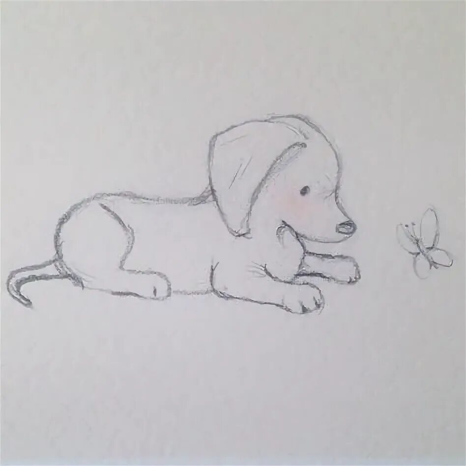 Картинки животные для детей срисовка Creative and Inspiring Dog Drawing Ideas for Artists