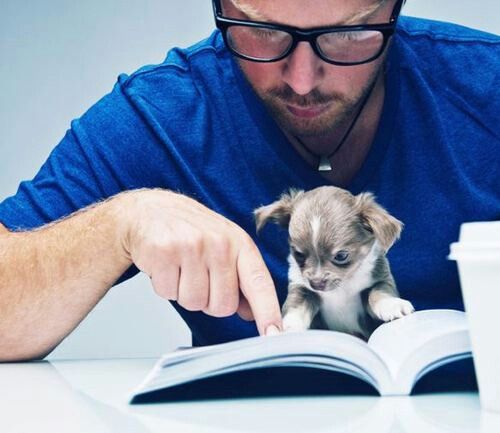 Картинки животные обучение Learning to read IT'S A DOG THING Dogs, Cute animals, Animals beautiful