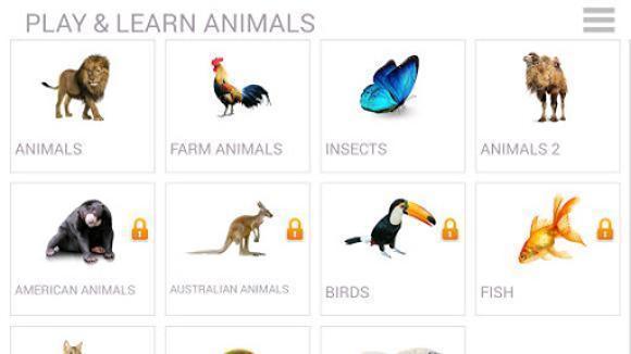 Картинки животные обучение Скачать Lyrebird: Учим Animals APK для Android