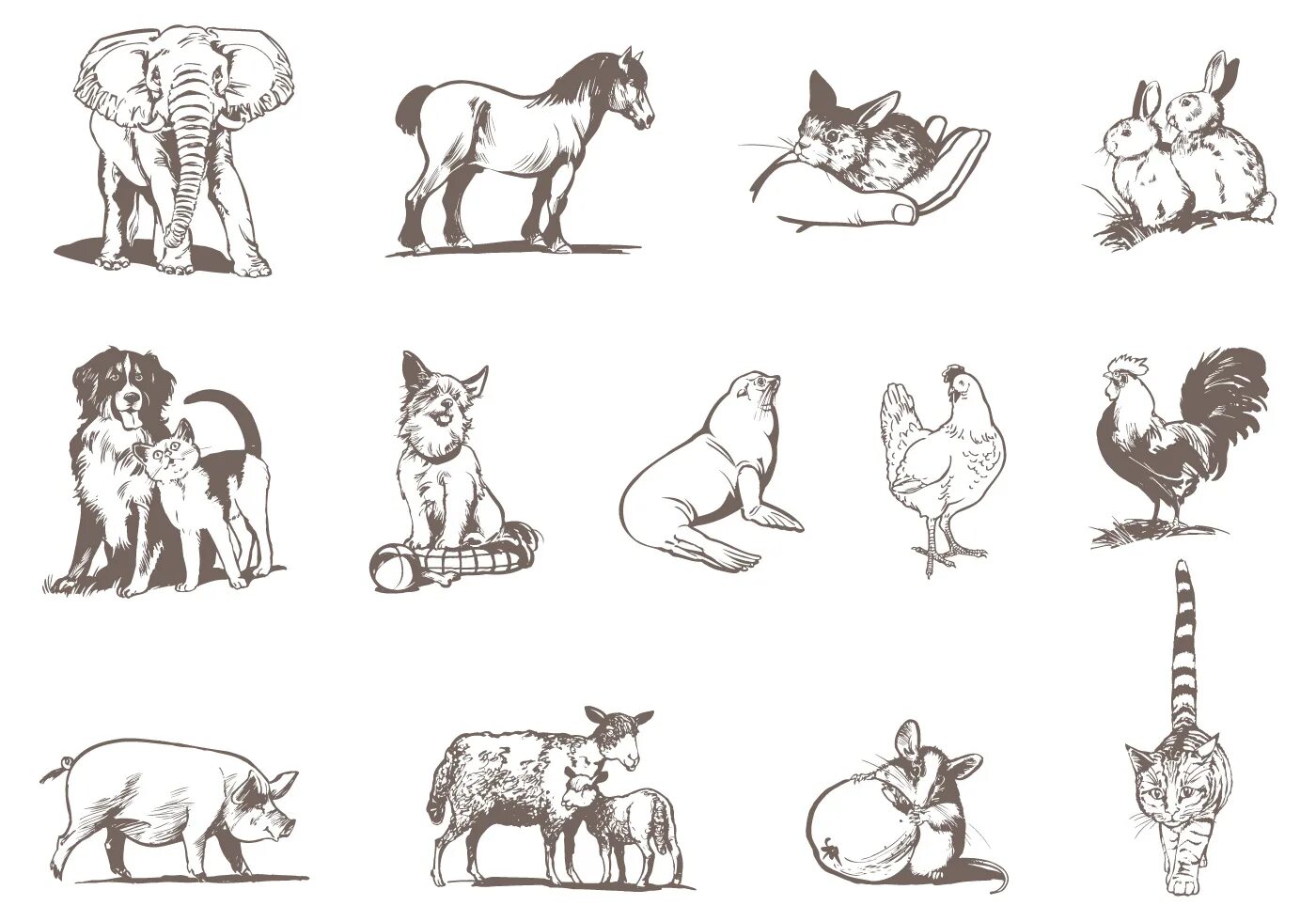 Картинки животные обучение Pets and Zoo Animal Vector Pack 55790 Vector Art at Vecteezy