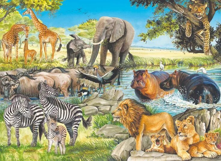 Картинки животные разных стран Africa 100 piece puzzles, Animal illustration, Jigsaw puzzles