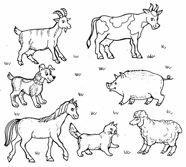 Картинки животные старшая группа fal VK Farm animal coloring pages, Farm animals pictures, Animal drawings