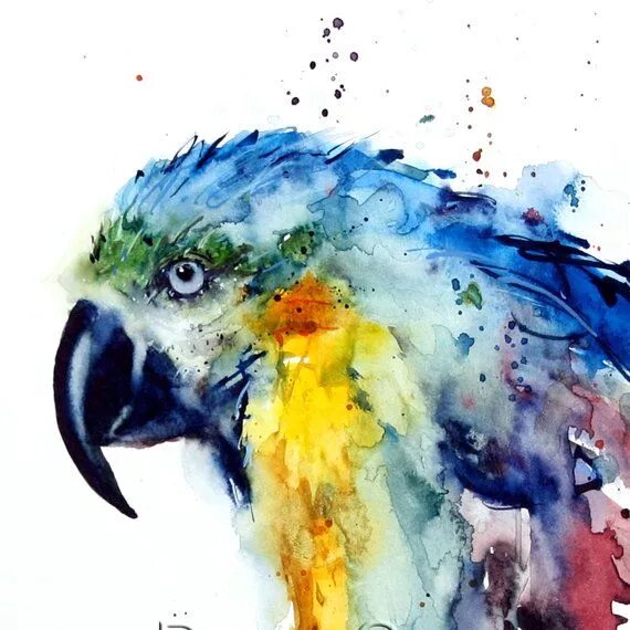 Картинки животных акварелью MACAW Watercolor Print by Dean Crouser - Etsy Watercolor print, Watercolor parro