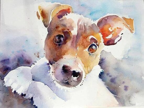 Картинки животных акварелью Пин от пользователя Gloria Howey на доске Watercolor Painting & inspiration for 