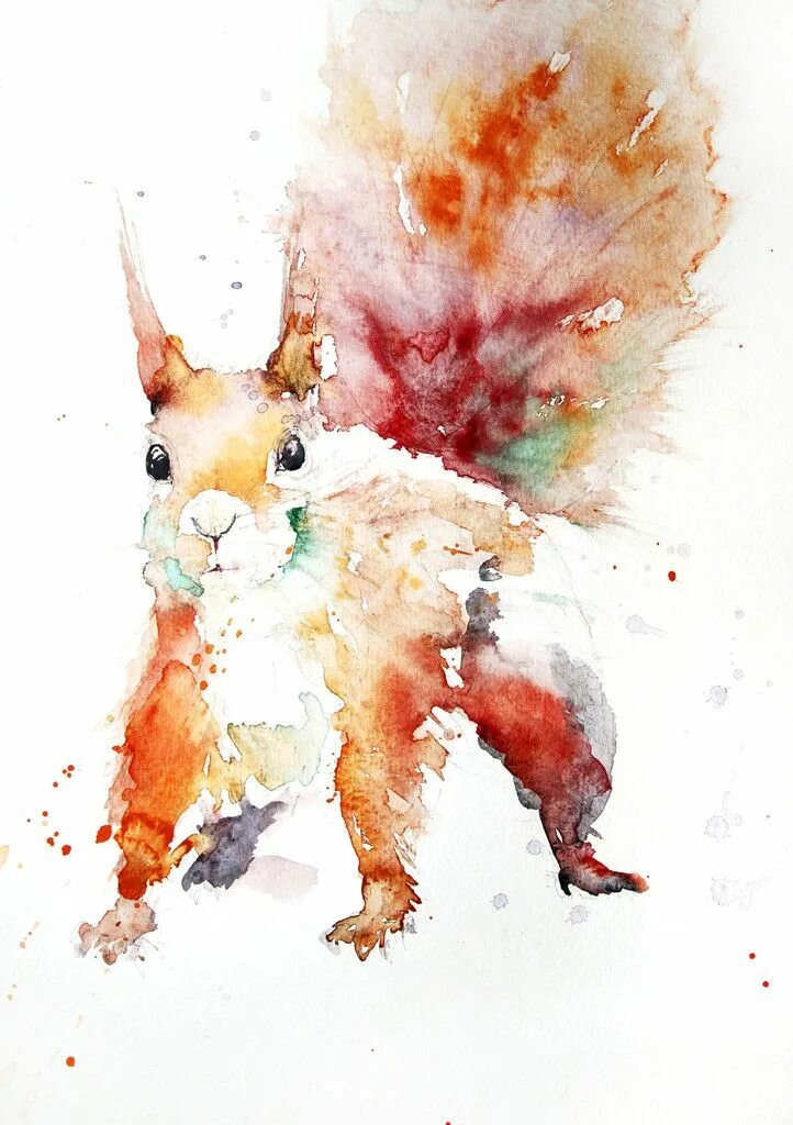 Картинки животных акварелью Squirrel art, Watercolor animals, Watercolor art