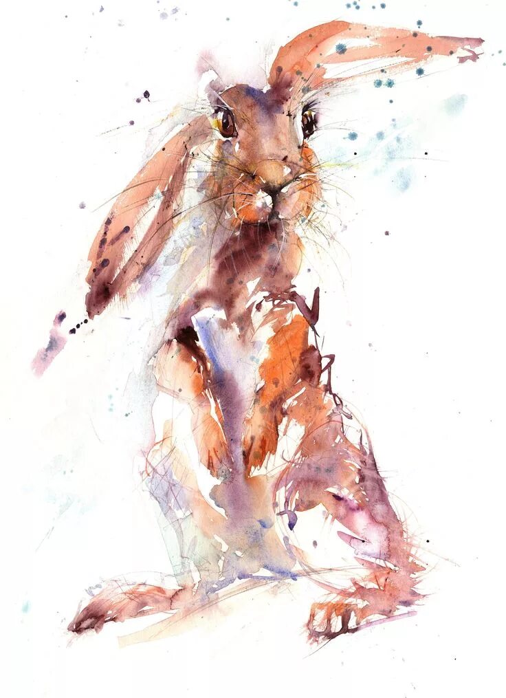 Картинки животных акварелью Impression aquarelle de lièvre. Bel art animalier. - Etsy France Hare painting, 