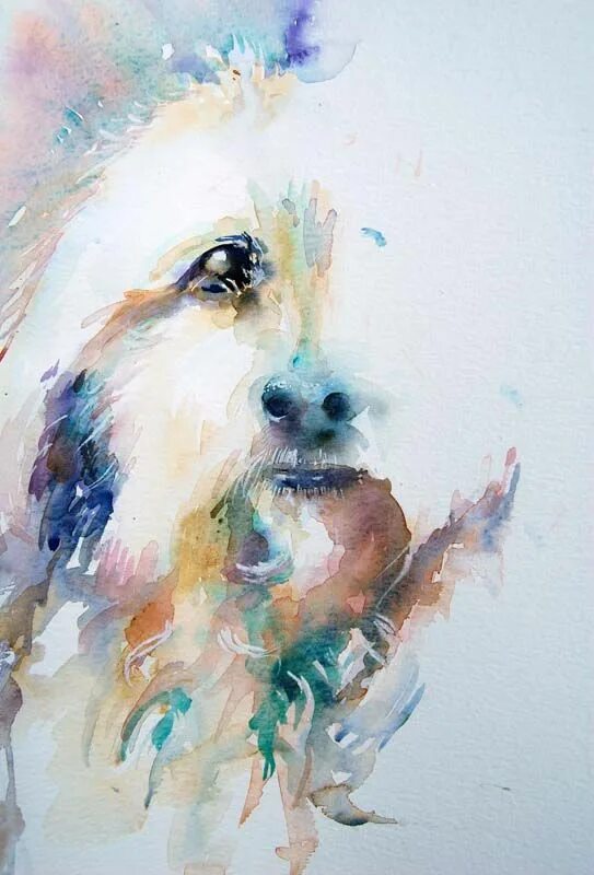 Картинки животных акварелью Pin by Mafeo on Aquarell 1 Watercolor dog, Watercolor animals, Animal paintings